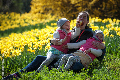 cute twin sisters, embrace on a background field with yellow flowers, happy cute and beautiful sisters having fun with mother in yellow flowers in spring in park, cheerful holidays outdoors © Ji