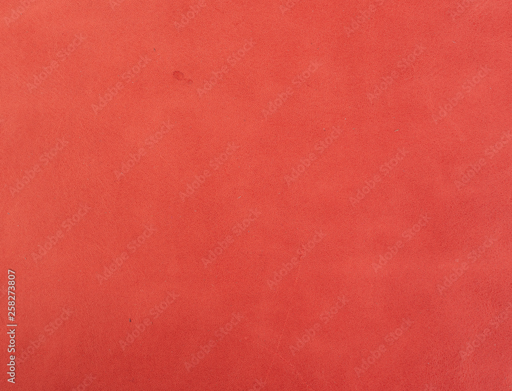 Fototapeta premium Textura piel animal print