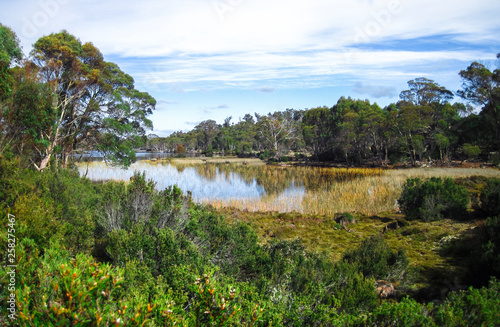 Lake Ah Chees sits in a very remote spot of the Walls of Jerusalem National Park in Tasmania.
