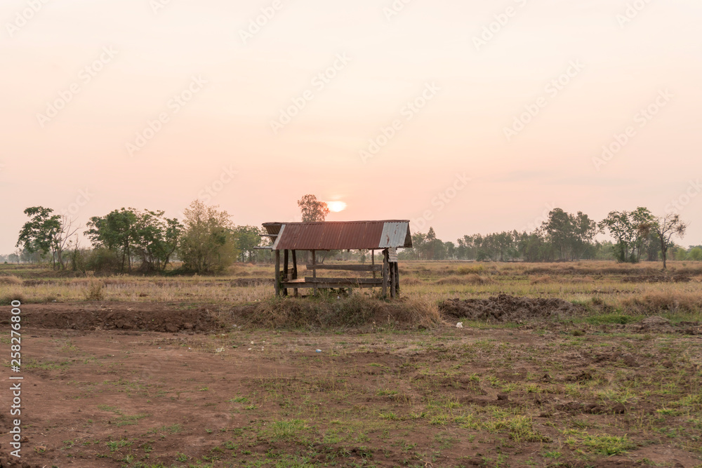 Accommodation in the middle of a field Accommodation in the middle of a field