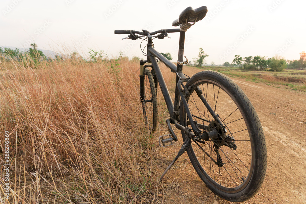 Bicycle in the arid path