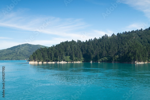 Mountain views, streams and lakes and plants of New Zealand