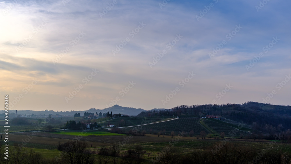 Spring sunset in the vineyards of Collio Friulano Spring sunset in the vineyards of Collio Friulano