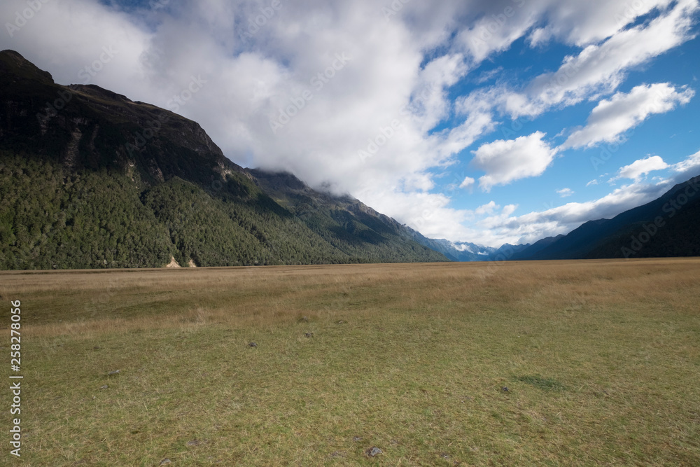 Views of the mountains and plants of New Zealand, mountains and tranquil scenes, New Zealand