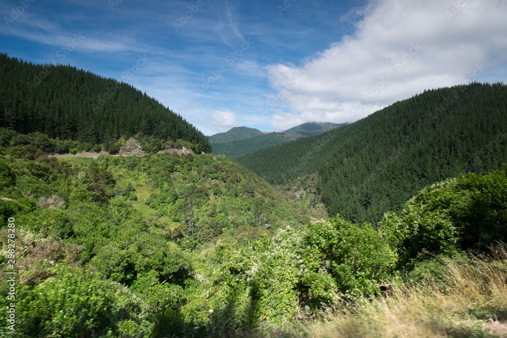 Fototapeta premium Views of the mountains and plants of New Zealand, mountains and tranquil scenes, New Zealand