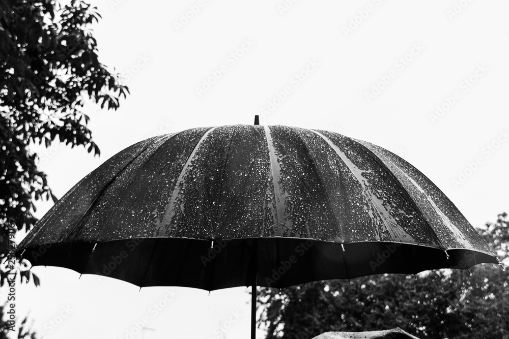 Black umbrella in heavy rain