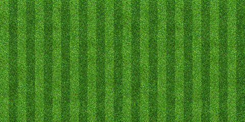 Green grass field background for soccer and football sports. Green lawn pattern and texture background. Close-up.