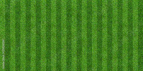 Green grass field background for soccer and football sports. Green lawn pattern and texture background. Close-up.