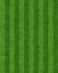 Green grass field background for soccer and football sports. Green lawn pattern and texture background. Close-up.