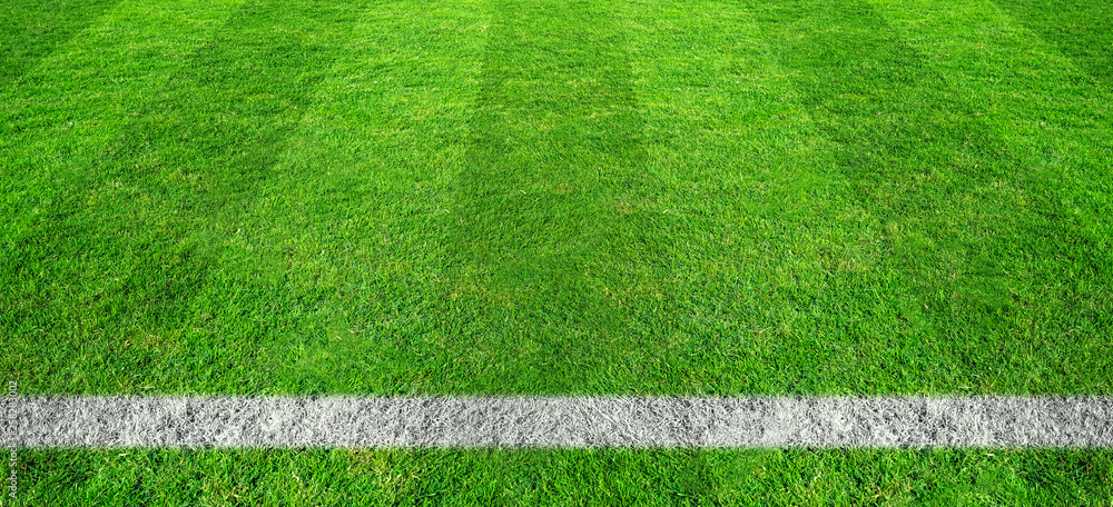 Soccer line in green grass of soccer field. Green lawn field pattern for sport background.