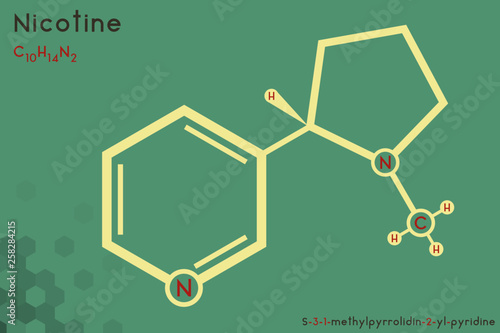 Large and detailed infographic of the molecule of Nicotine.