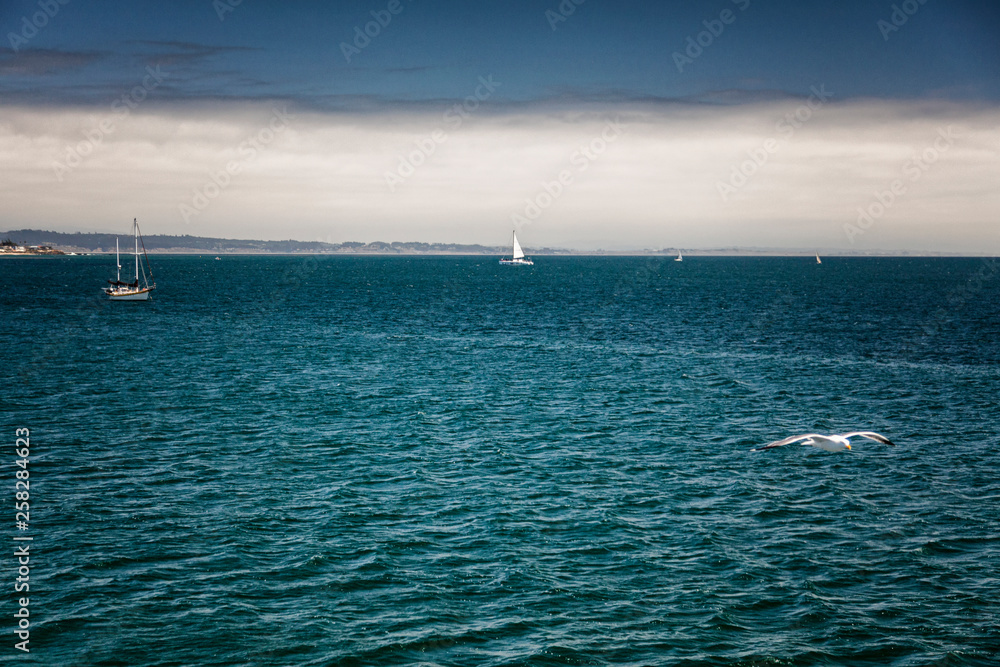 Gloomy weather on the sea. Dark blue water with yachts sailing on it. Dramatic landscape.
