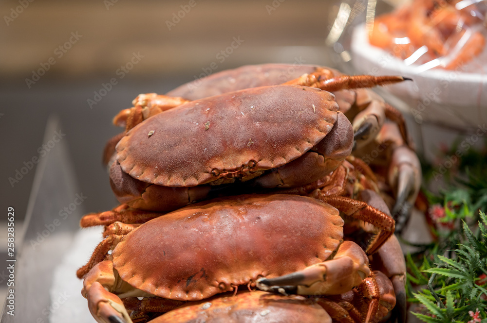 Crabs displayed at a market stall in Saint Malo, France