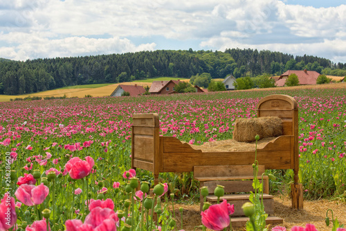 Bett im Mohn