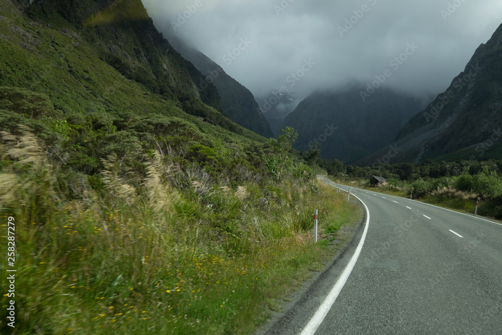 Views of the mountains and plants of New Zealand, mountains and tranquil scenes, New Zealand Views of the mountains and plants of New Zealand, mountains and tranquil scenes, New Zealand
