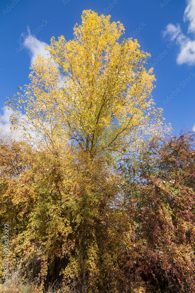 Autumn country Alcala de la Selva Teruel Aragon Spain