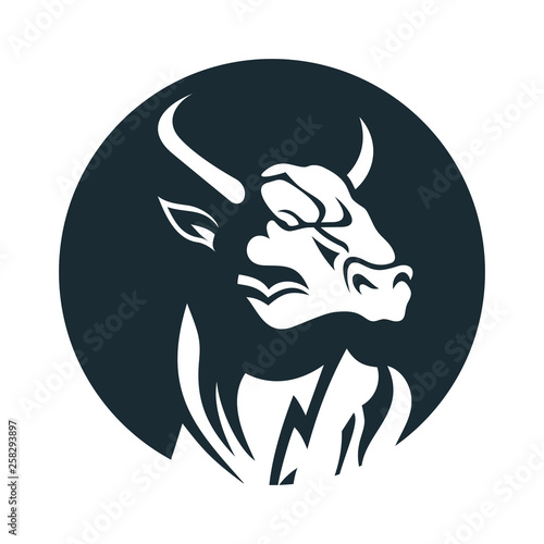 Bull head logo