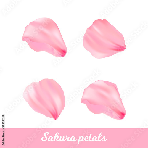 Beauty pink sakura petals set. Vector romantic flower.  Illustration. Elegance petal for background. Isolated petals