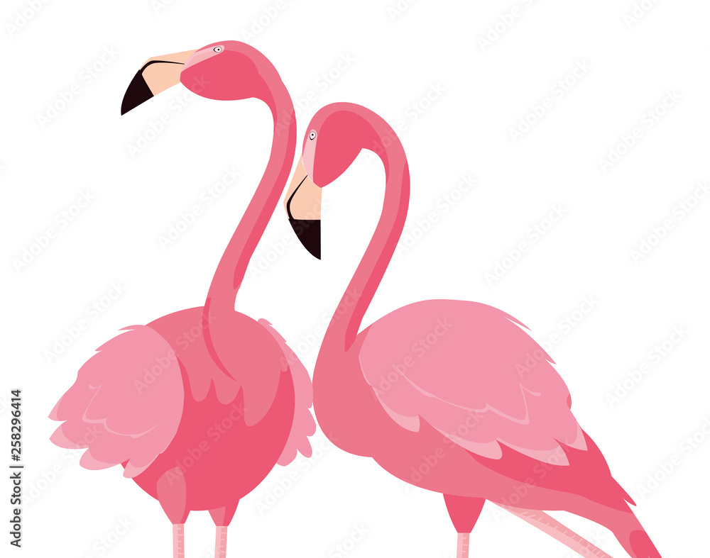 Fototapeta premium elegant flamingo birds couple