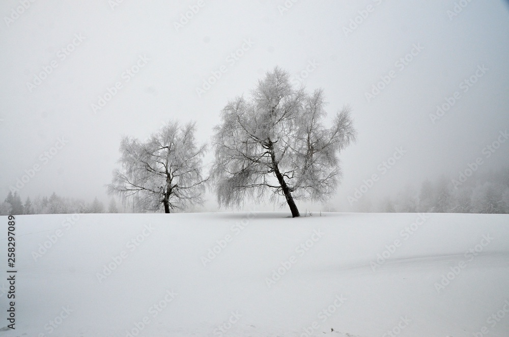 Winter nature  in Klinovec Karlovy Vary region 