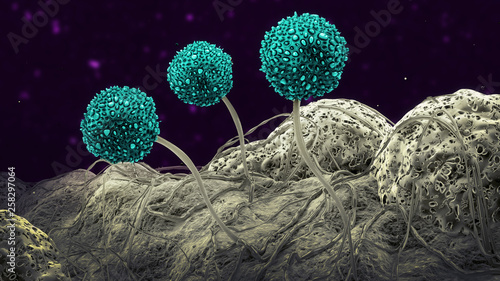 Three mold spores - 3d illustration photo