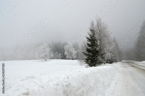 Winter nature in Klinovec Karlovy Vary region 