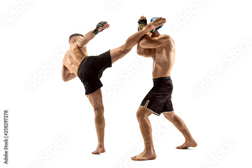 MMA. Two professional fightesr punching or boxing isolated on white studio background. Couple of fit muscular caucasian athletes or boxers fighting. Sport  competition  excitement and human emotions