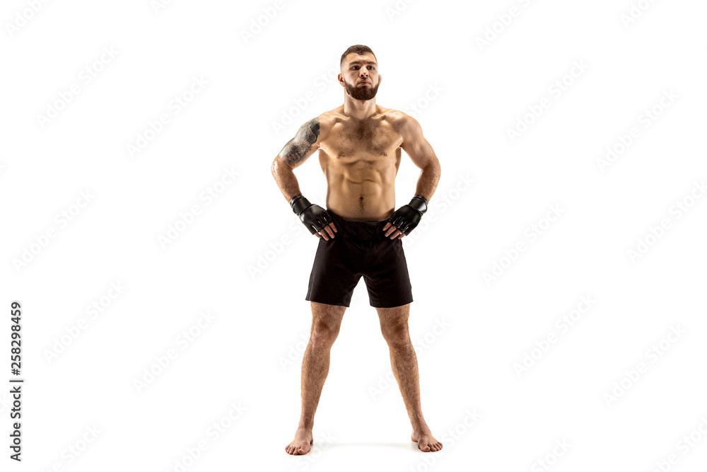 MMA. Professional fighter isolated on white studio background. Sport, competition, excitement and human emotions concept