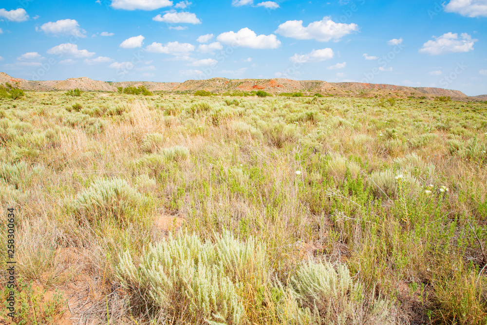Landscape in Lake Meredith National Recreation Area, Texas, USA