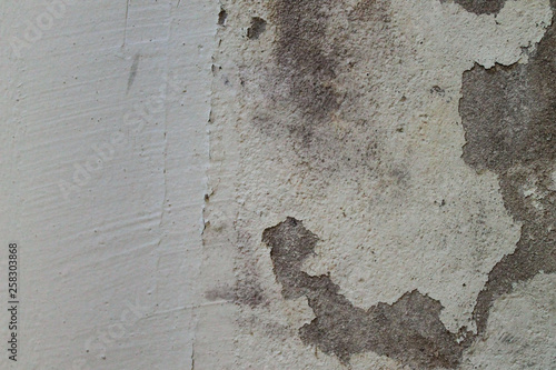 Rustic Wall
