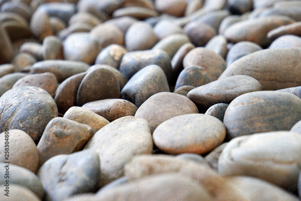 Natural Pebble Stone Walkway / Pathway in the City Park Natural Pebble Stone Walkway / Pathway in the City Park