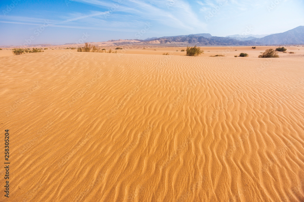 Sand Dune. Wadi Araba desert. Jordan