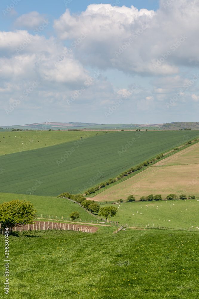 A green South Downs landscape on a sunny spring day