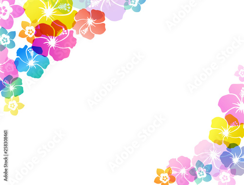 Summer tropical image Background material