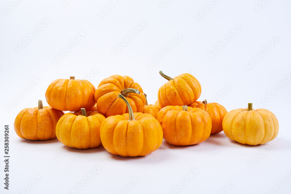 fresh pumpkins fresh pumpkins
