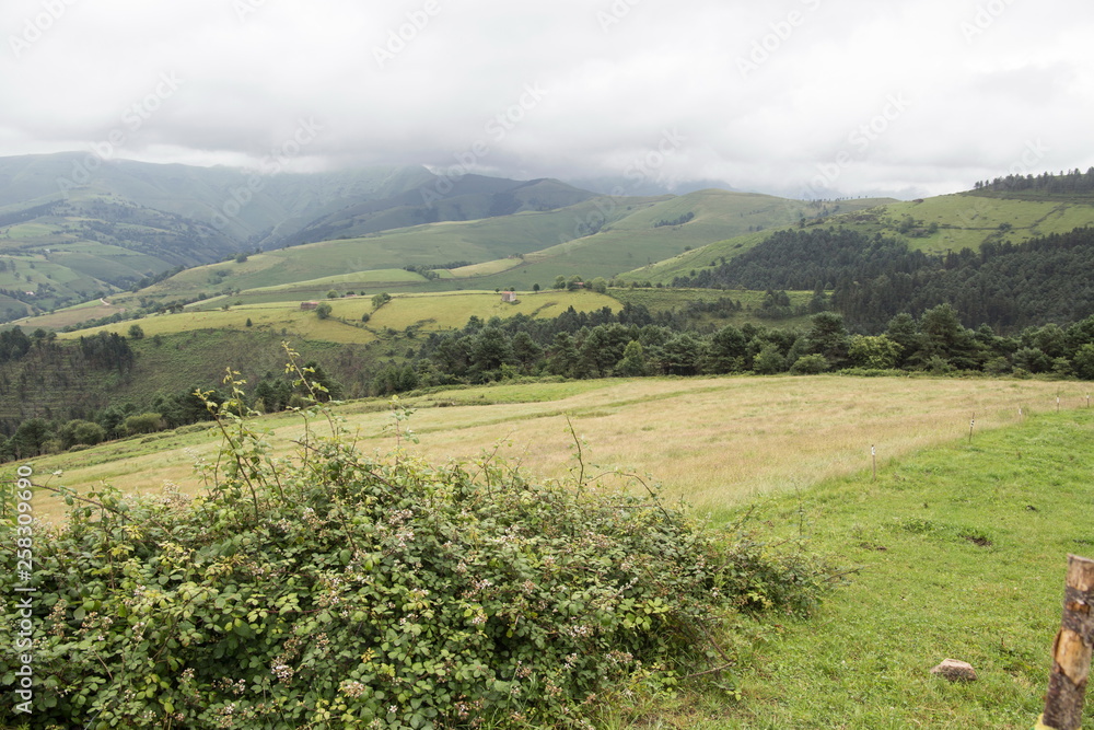 Cantabria landscape wiht green field.