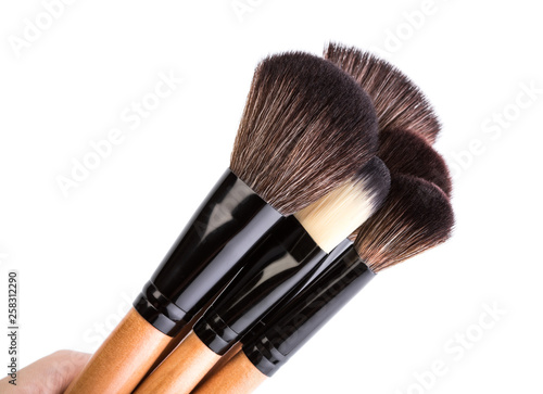 Various makeup brushes isolated over white. wooden makeup brushes. Duo fibre foundation makeup brush. Style. Fashion. Visage. Cosmetics.