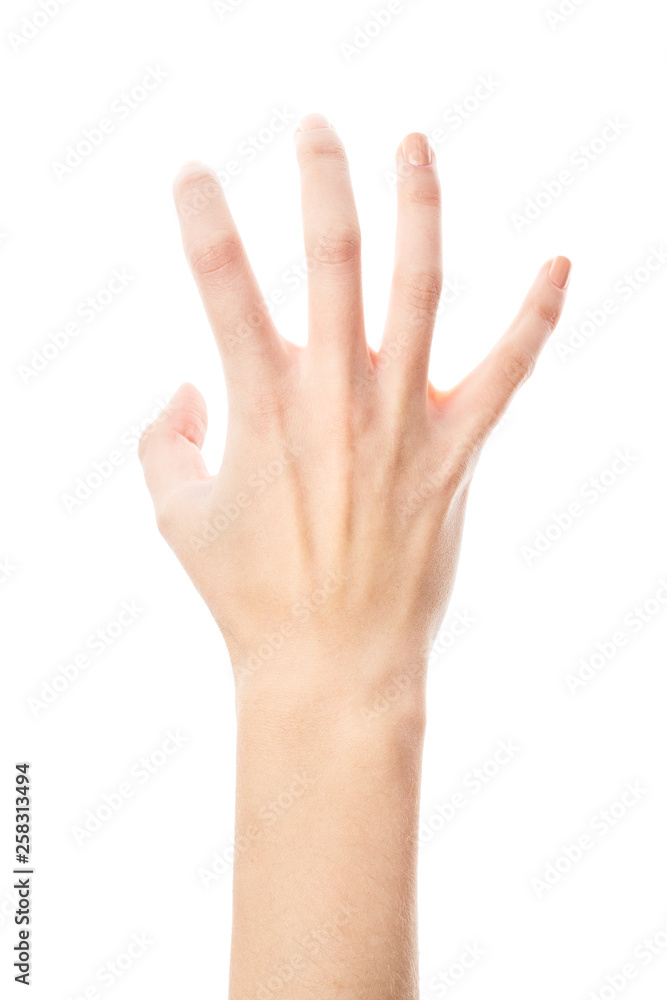 Female hand isolated on white background. White woman's hand showing symbols and gestures. Palm Female hand isolated on white background. White woman's hand showing symbols and gestures. Palm