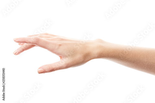 Female hand isolated on white background. White woman's hand showing symbols and gestures. Palm