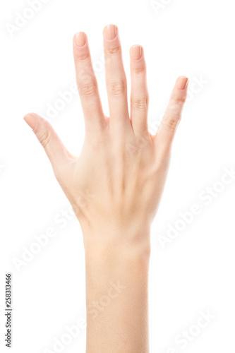 Female hand is showing numbers isolated on white background. Sign language. Hand numbers