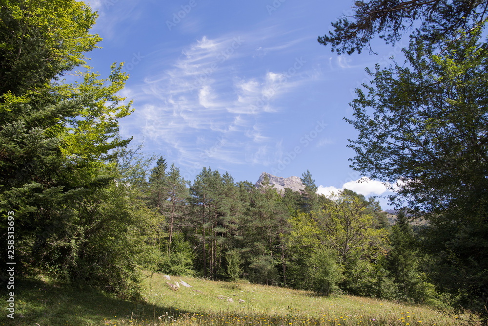 Mountain landscape Selva de Oza Haragon Spain Mountain landscape Selva de Oza Haragon Spain