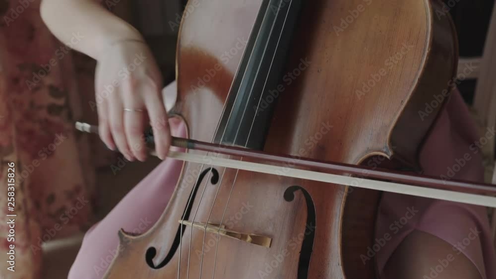 Close view of female violoncellist playing on the strings with fiddlestick Close view of female violoncellist playing on the strings with fiddlestick