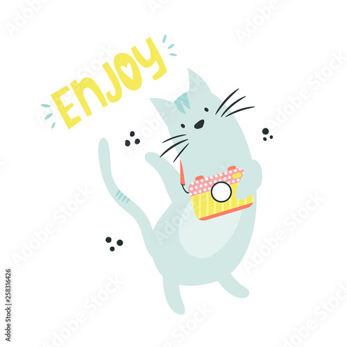 Funny cat photographer. Vector illustration