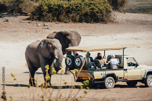 Touristen begegnen einer Gruppe Afrikanischer Elefanten (Loxodonta africana) während eines Game Drives, Chobe flood plains, Botswana photo