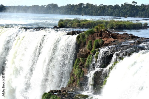 IGUAZU (naturaleza, aves, mamiferos, insectos, cascadas)