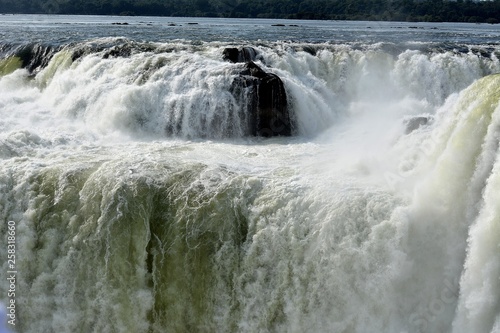 IGUAZU (naturaleza, aves, mamiferos, insectos, cascadas)