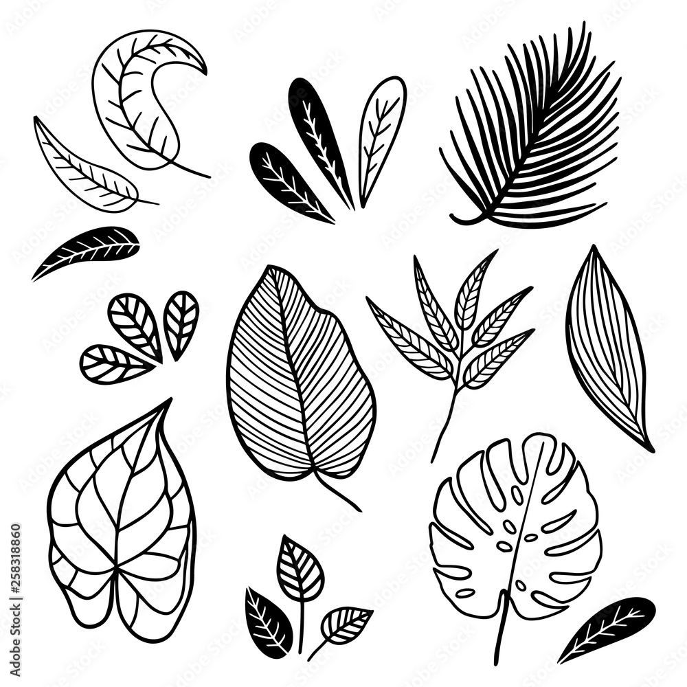 Set of vintage style leaves. Black and white handmade illustration. - obrazy, fototapety, plakaty 