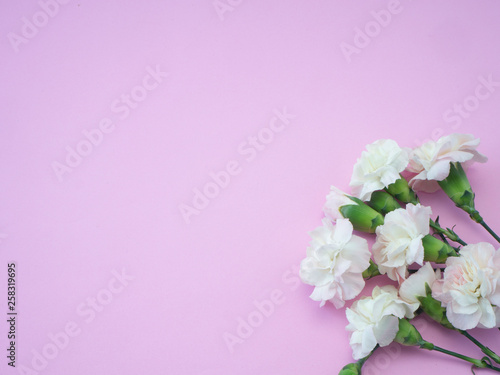 Mother s day greeting card  Beautiful pink carnation