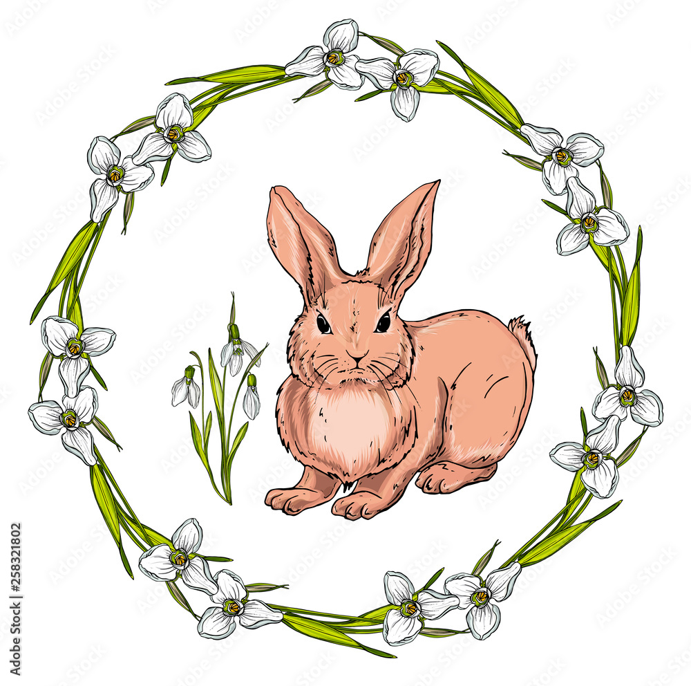 Vector isolated cartoon hare Vector isolated cartoon hare