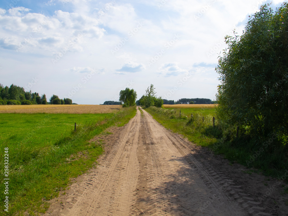 dirt road covered with sand